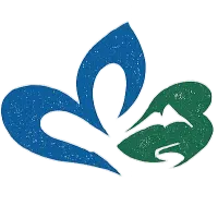 山県市